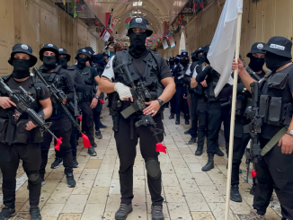 Imagen de los miembros del grupo insurgente "La Guarida del León" publicada por el propio grupo en las redes sociales, en donde se muestran muy activos. Fuente - Telegram.
